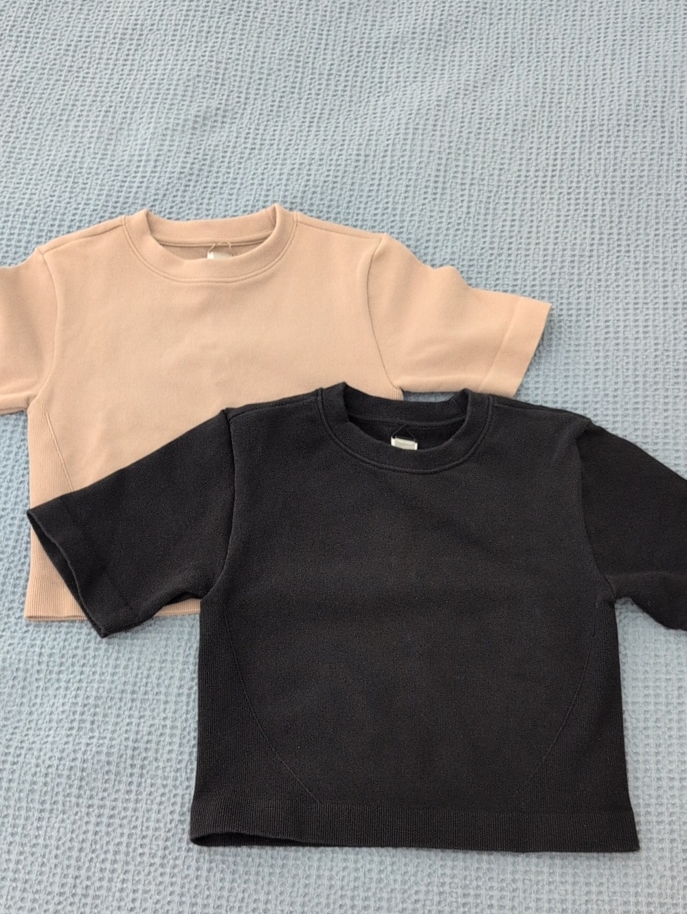 Everlane Seamless Crop Tees